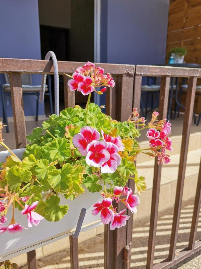 Hamboula Apartment Polis Exterior photo