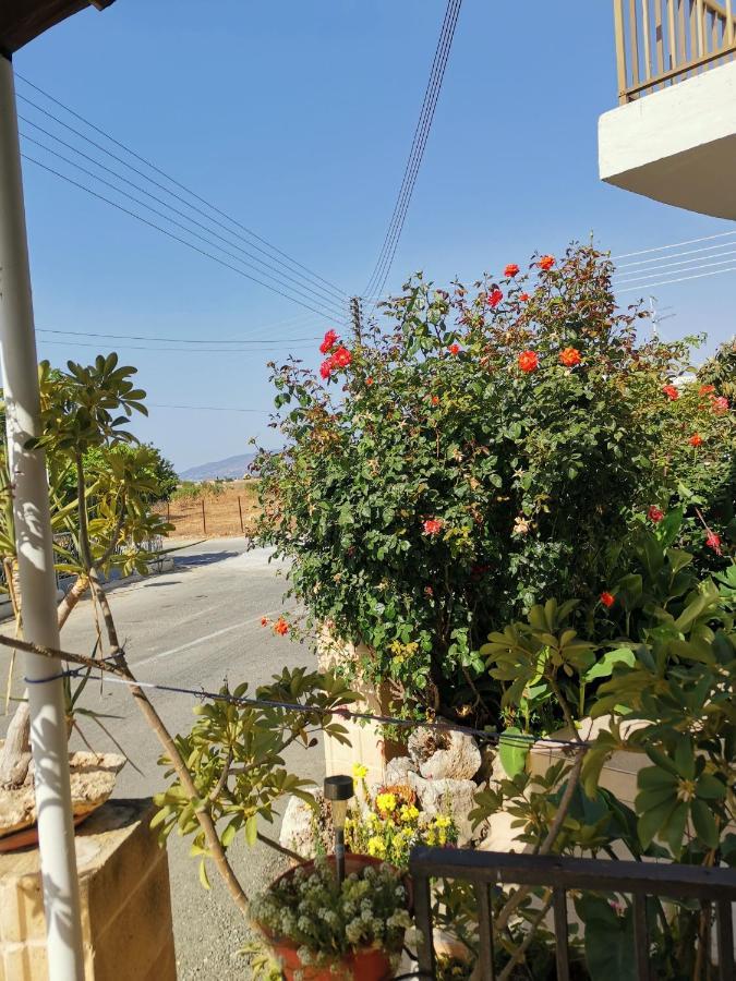 Hamboula Apartment Polis Exterior photo