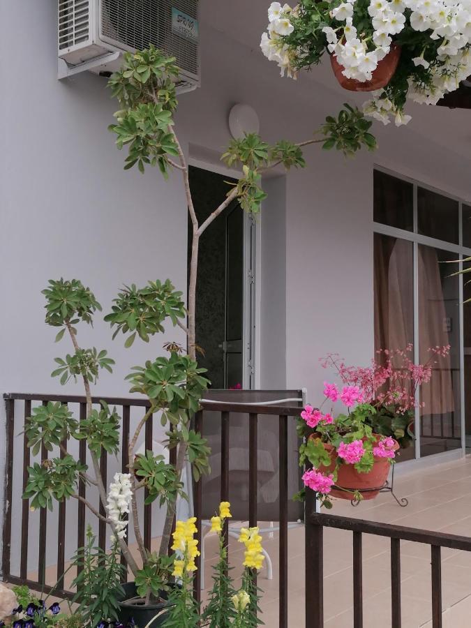 Hamboula Apartment Polis Exterior photo